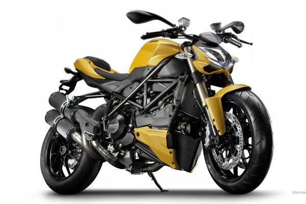 Moto Ducati jaune sur fond blanc