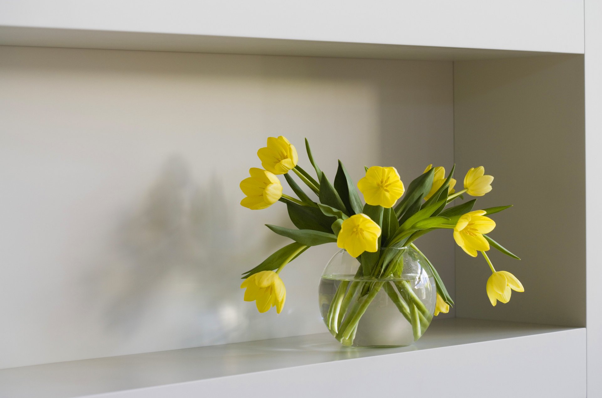 étagère vase eau fleurs tulipes