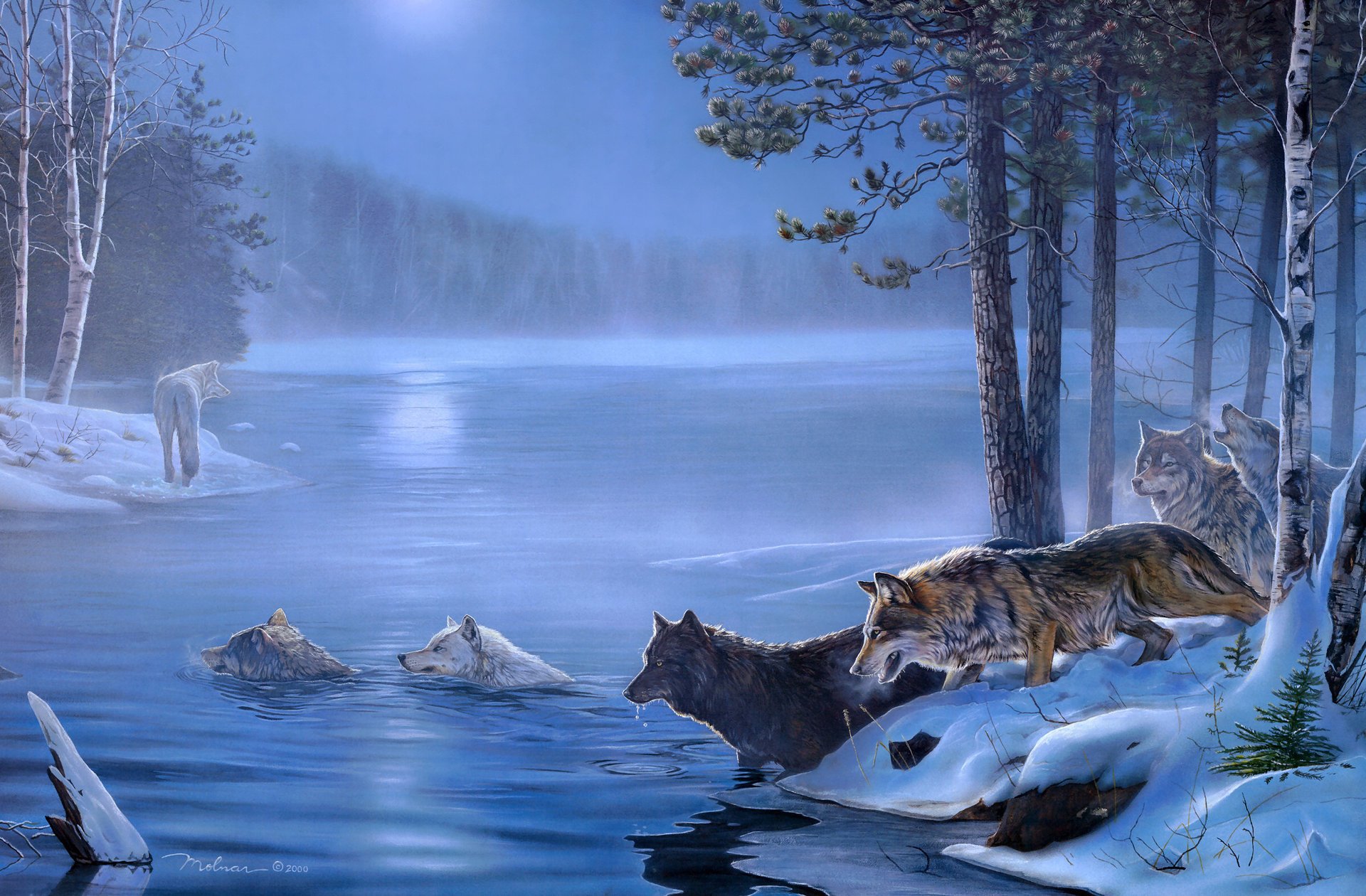 wolves trees swamp forest ice