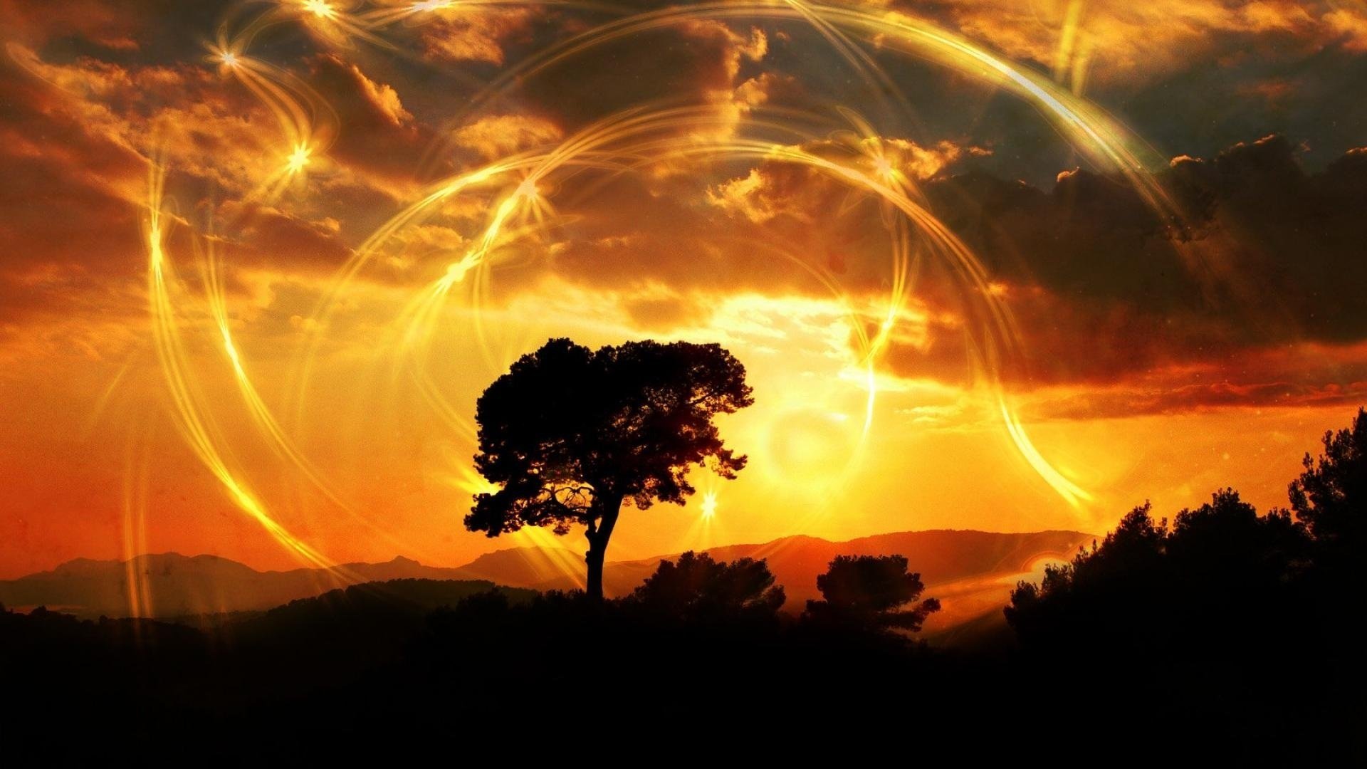 puesta de sol naturaleza árbol paisaje