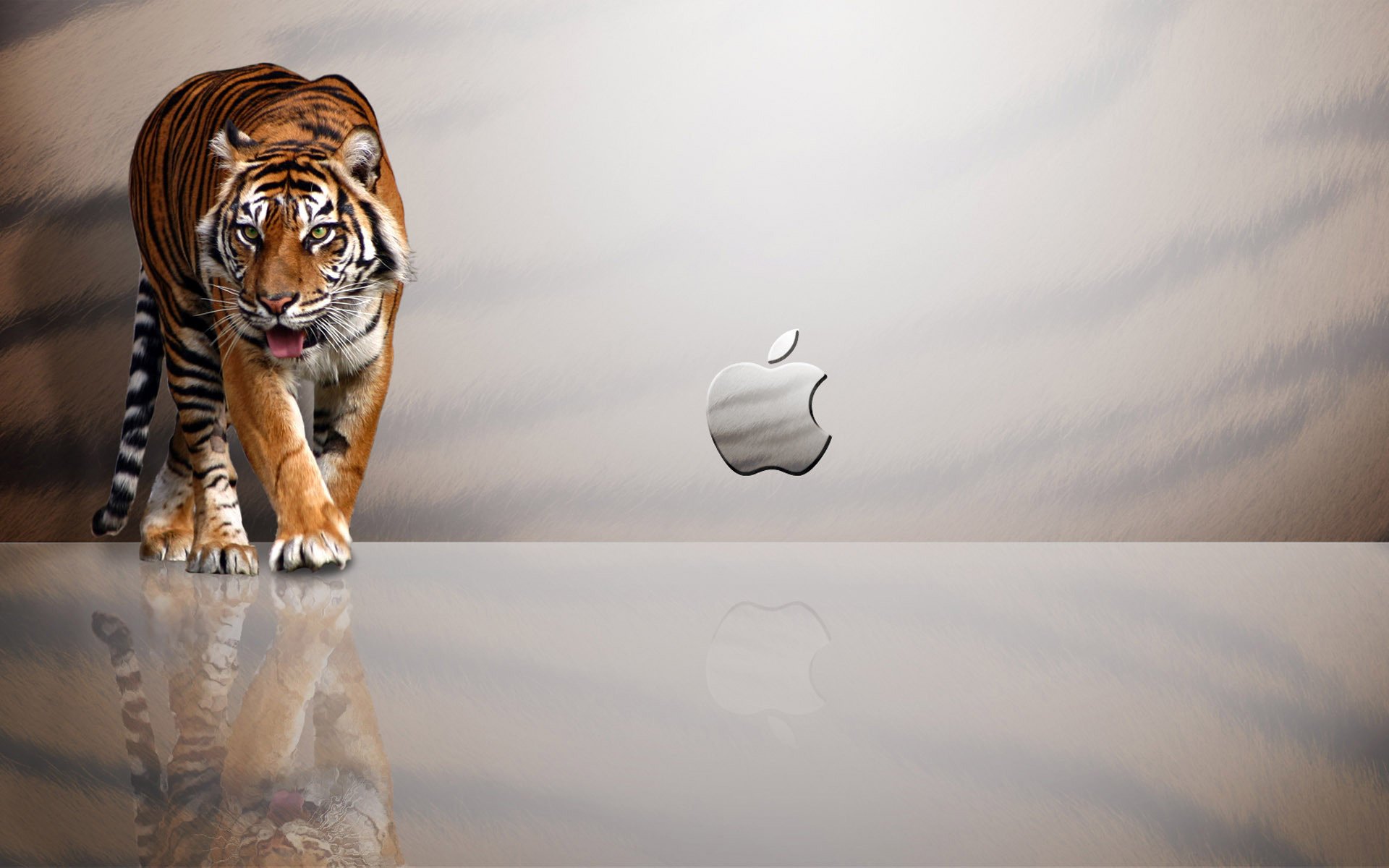 apple tiger reflexion