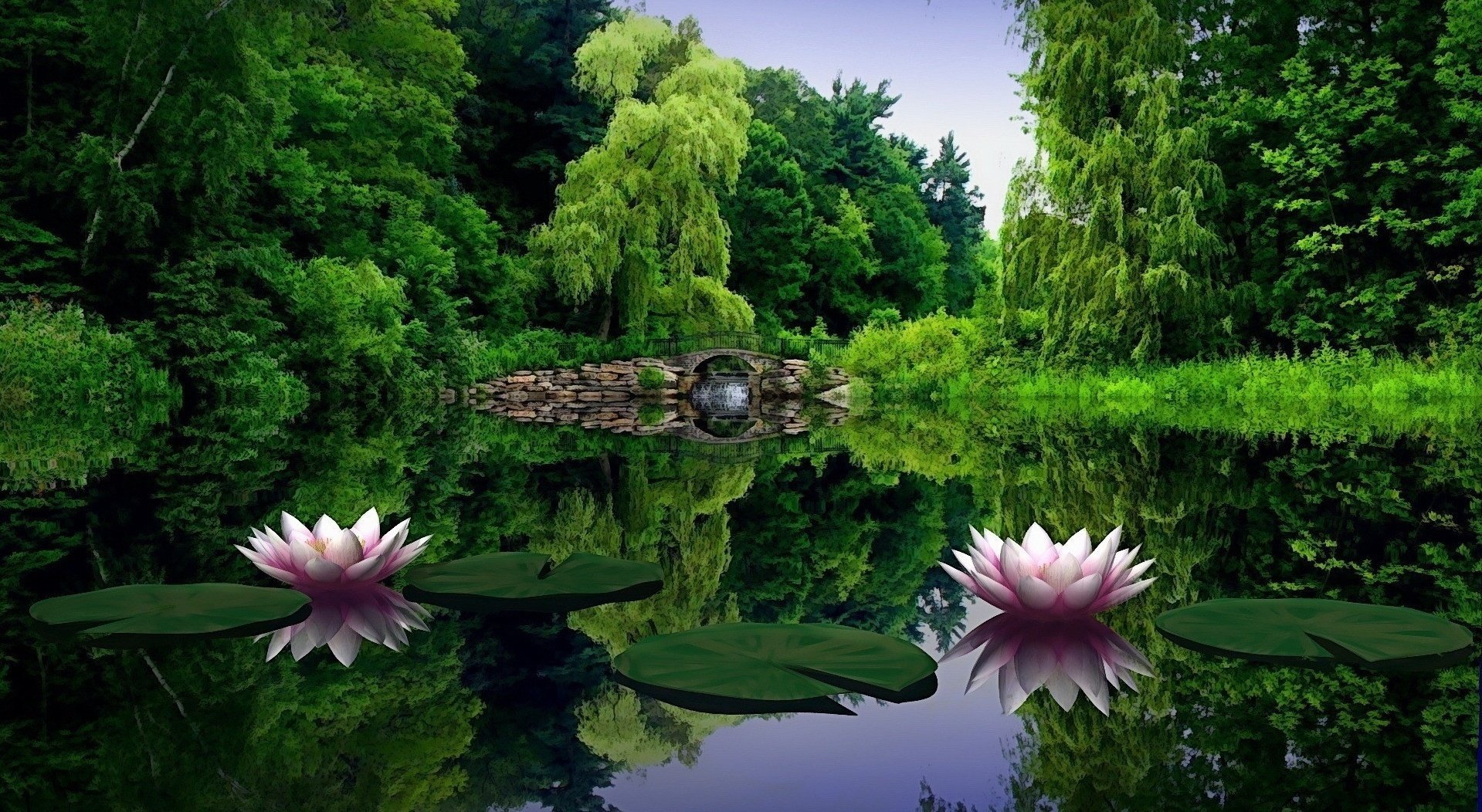 pond lily bridge reflection