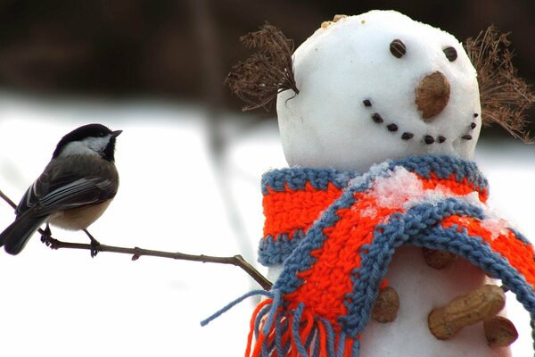 Tit seduto al pupazzo di neve in una sciarpa sulla mano di un bastone