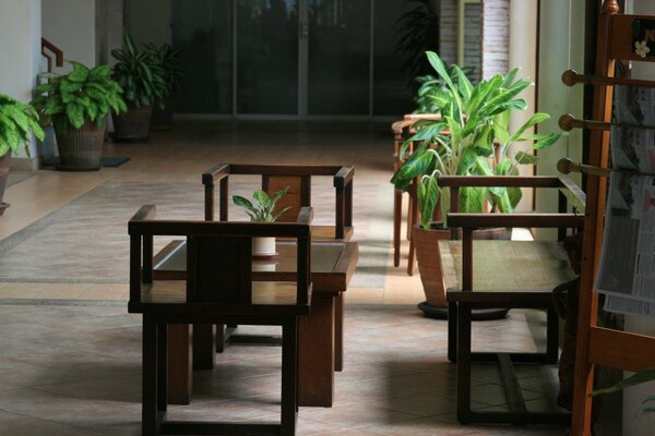 Hotel lobby with greenery and dark furniture