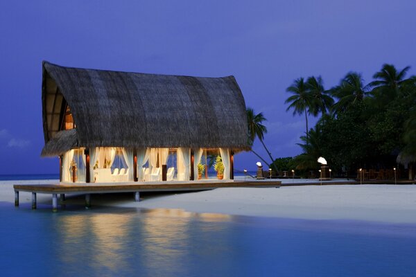 Ein Haus am Meer mit Palmen ist ein Paradies