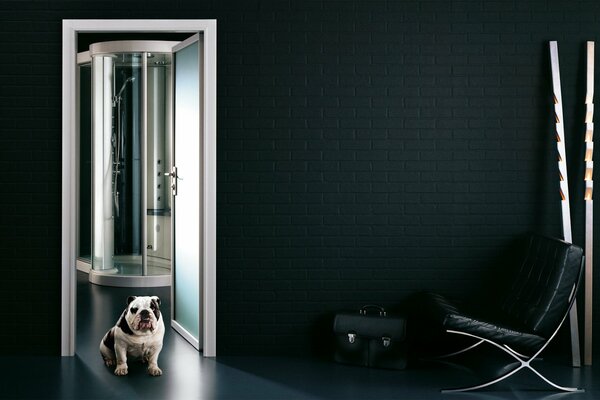 A dog in a stylish bathroom interior