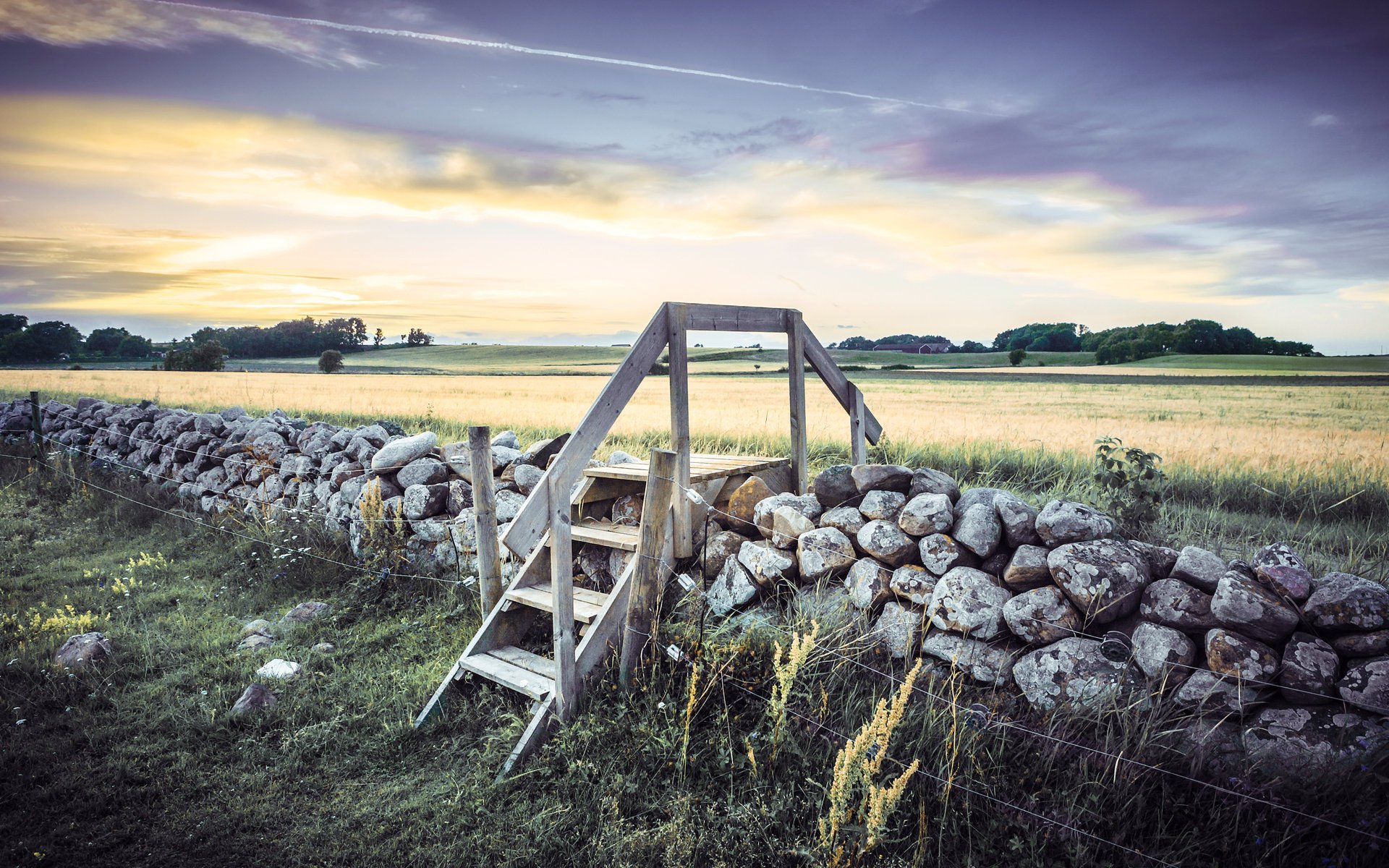 weden bäume feld steine zaun schweden