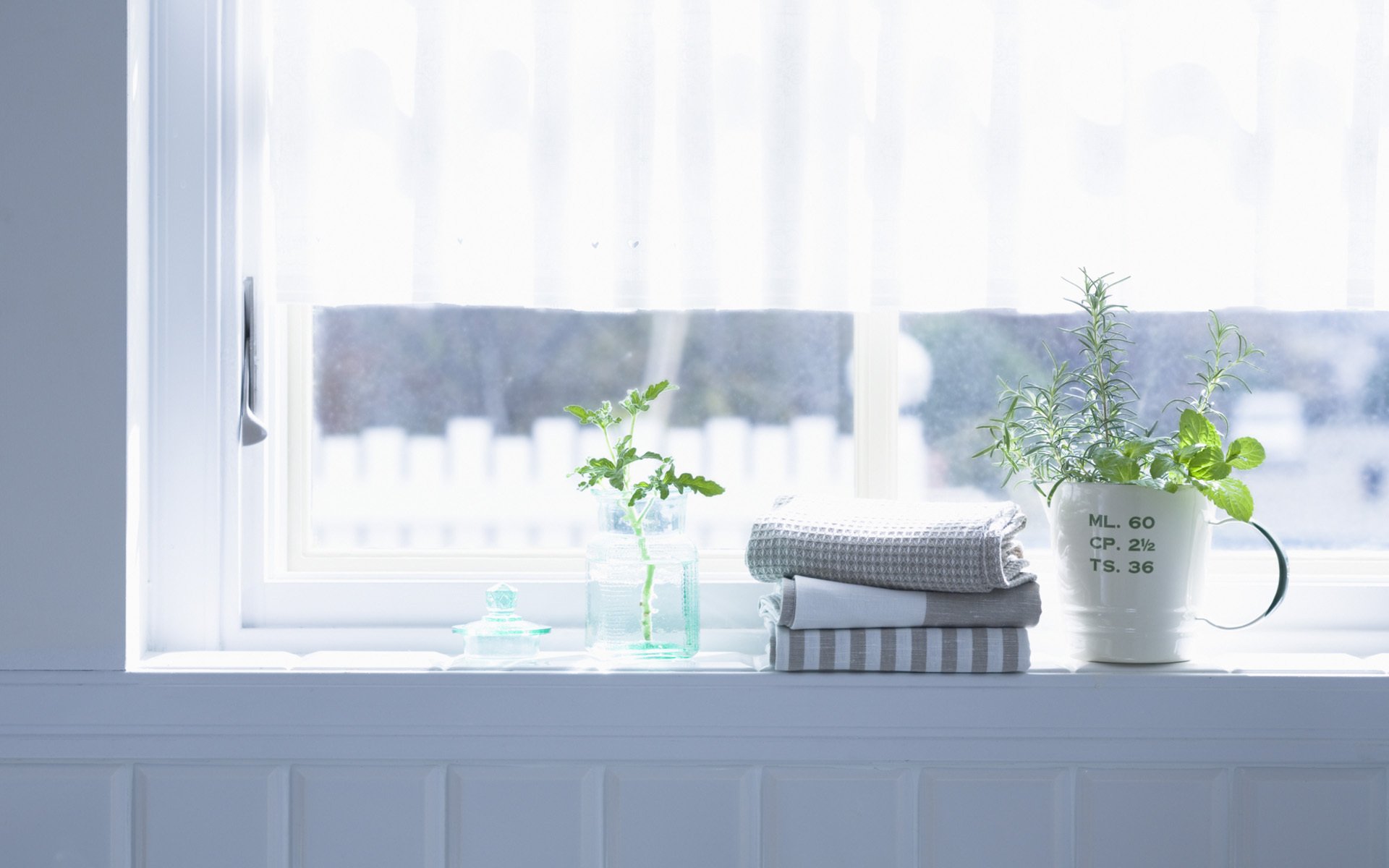 innenraum zimmer wohnung handtuch pflanzen blumen fenster