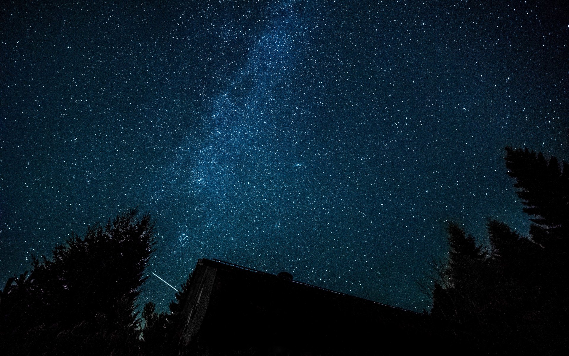 voie lactée logement forêt arbres étoiles espace