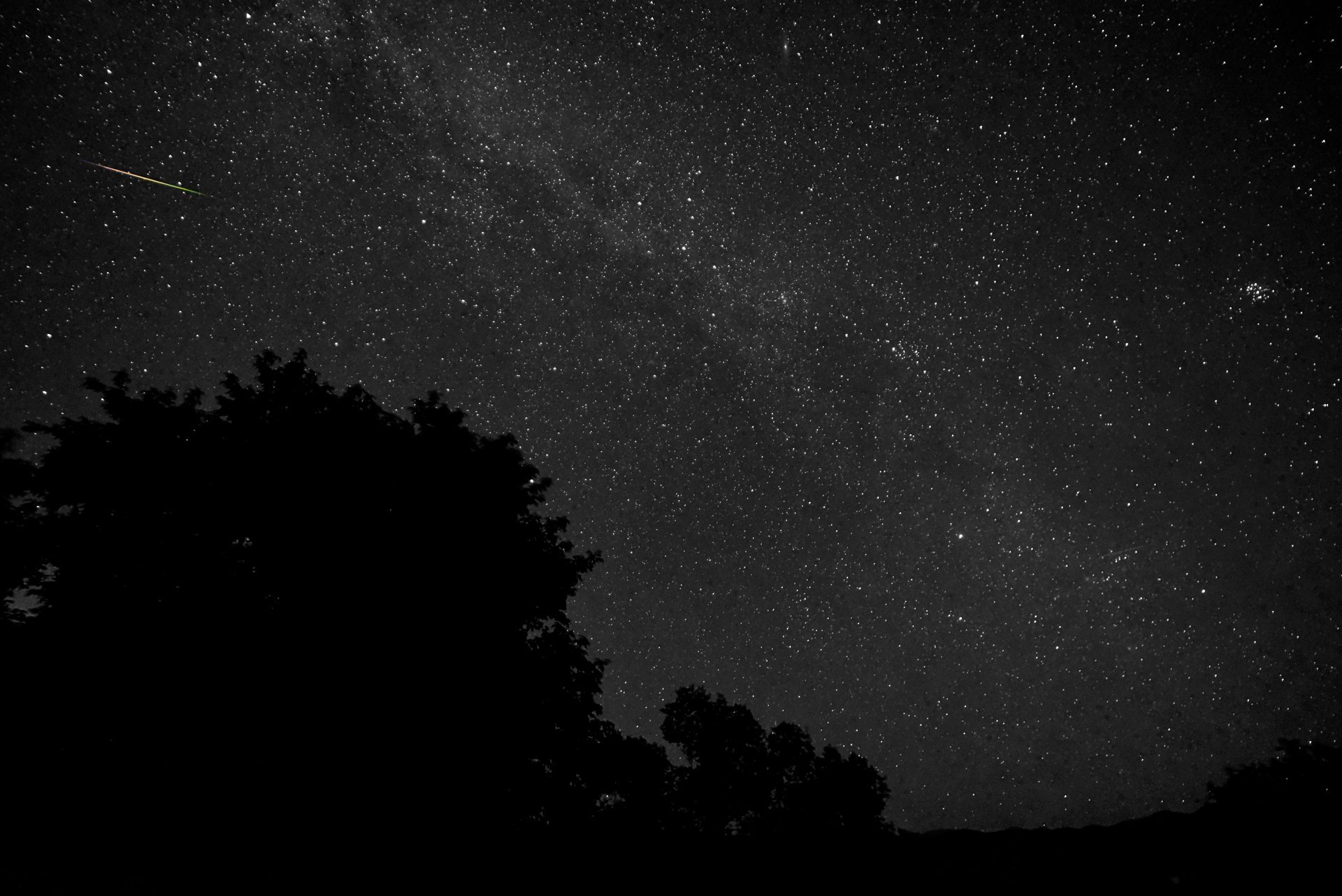 espace étoiles nuit arbres silhouette