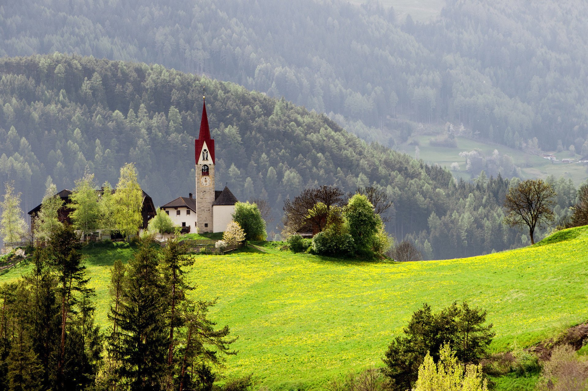 nature spring grass chapel home forest mountain