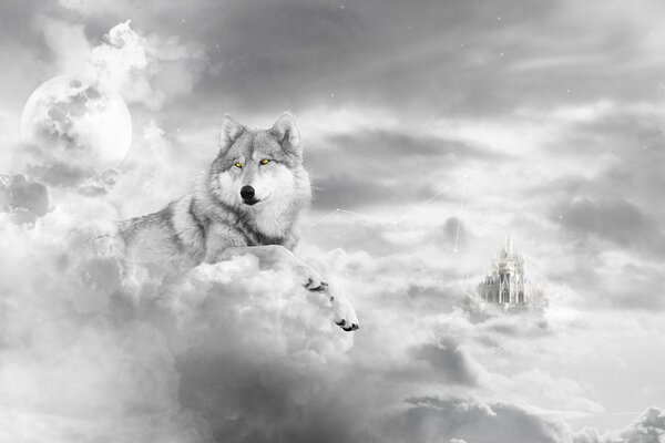 Gran lobo en el fondo de las nubes