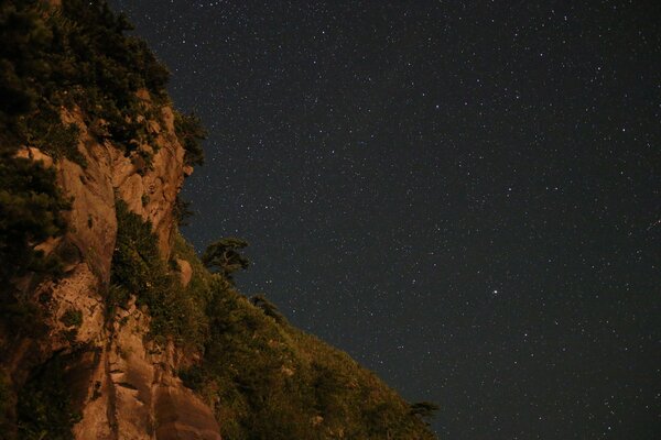 Night nature with a starry sky