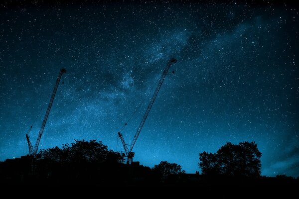 La Via Lattea è bellissima sullo sfondo di alberi e gru