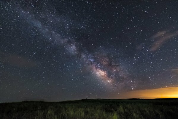 The field and the night stars of the Milky Way