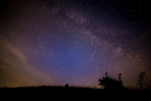 Lichtung in der Nacht vor dem Hintergrund des Kosmos