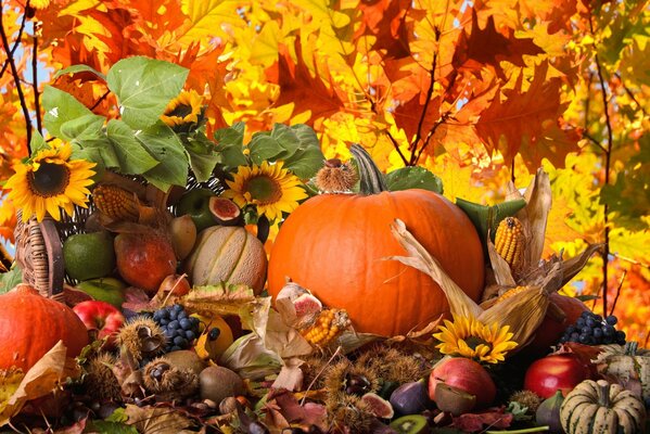 Bodegón de otoño de verduras para la fiesta de todos los Santos