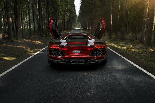 Roter Lamborghini Aventador auf der Strecke im Wald