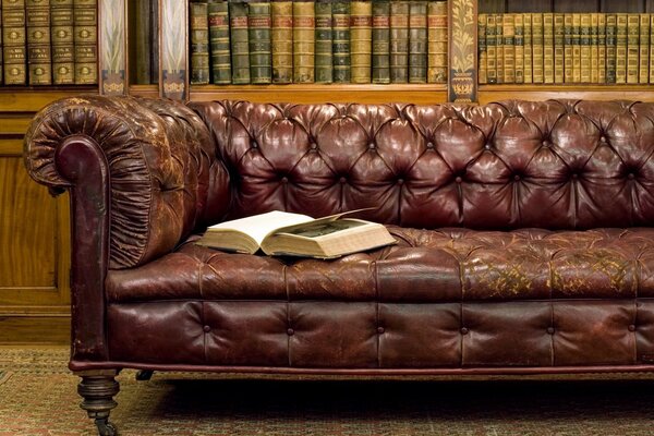 Antique sofa for the library