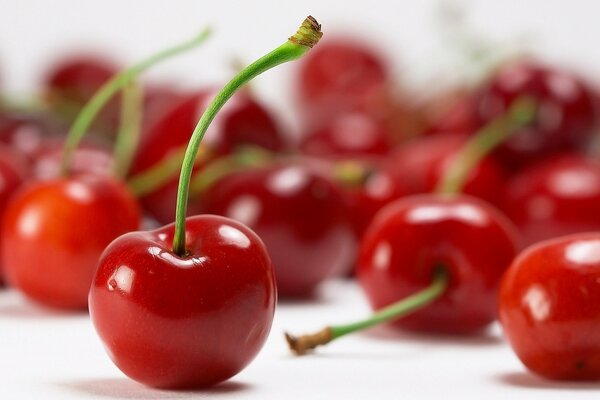 Juicy red cherries with green petioles