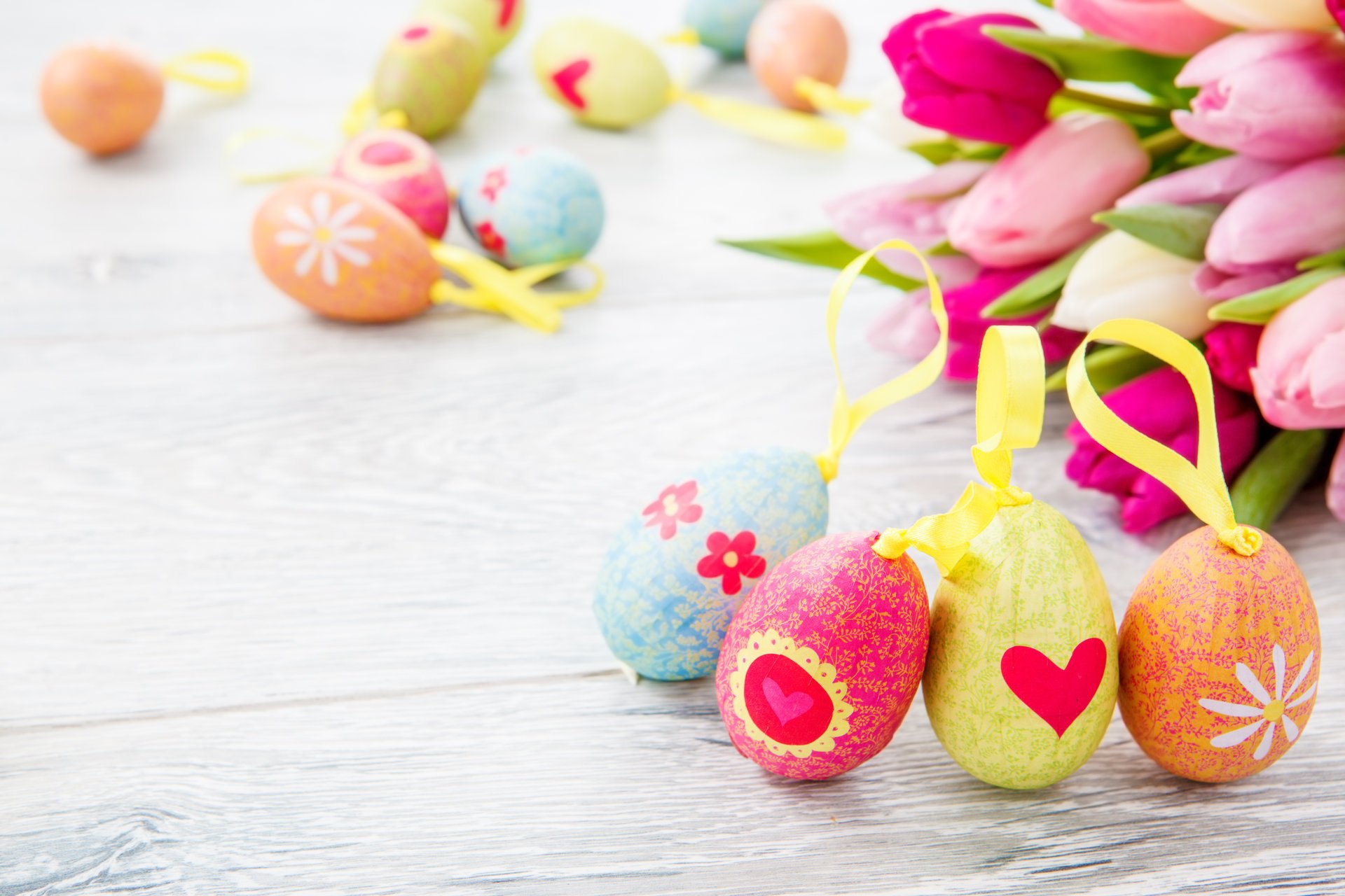 fiori tulipani pasqua pasqua uova