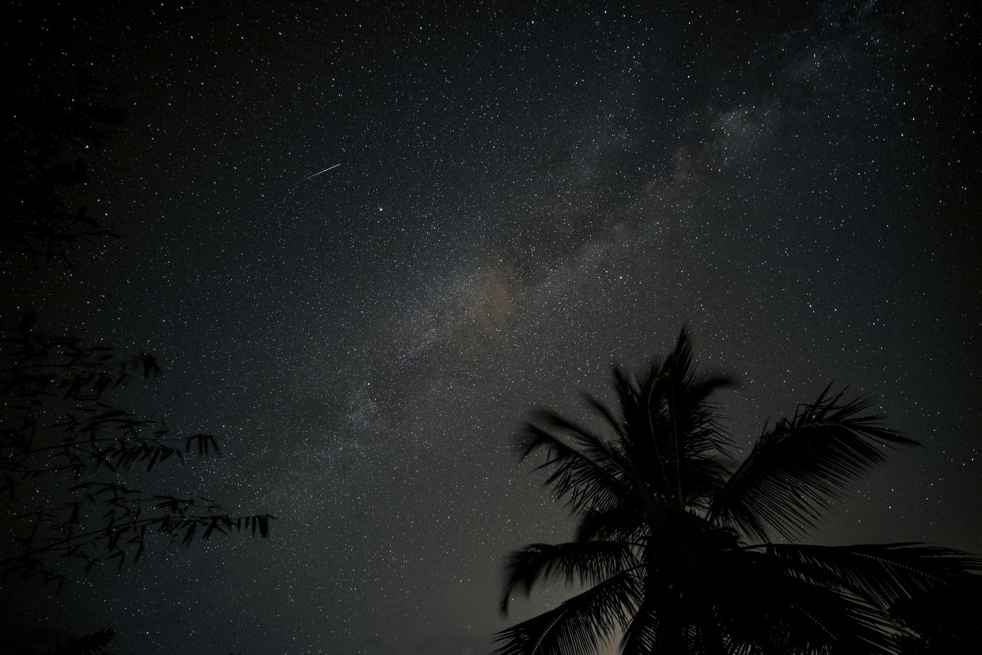 cosmos stars night space milky way palm tree silhouette