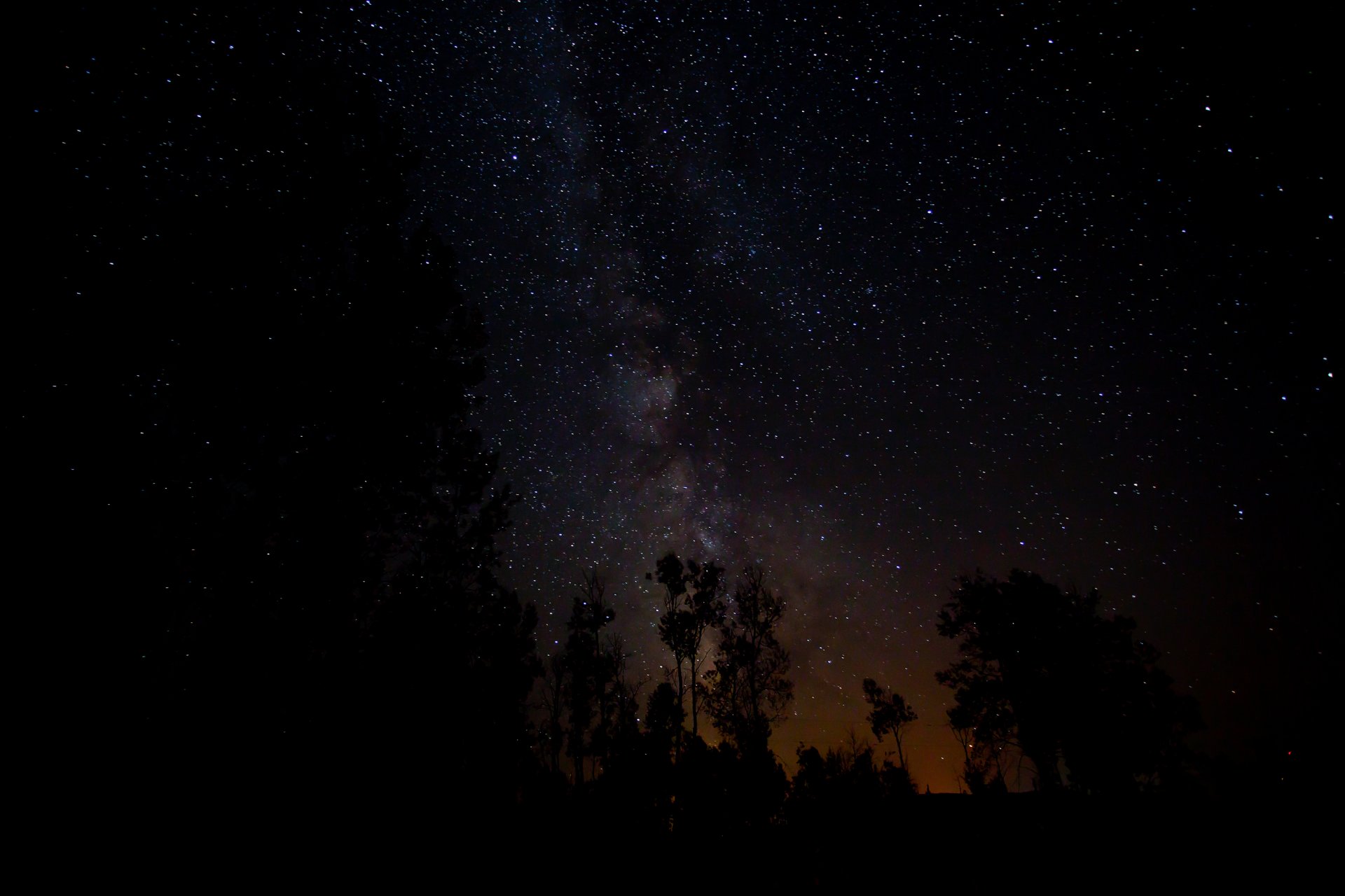 cosmos estrellas noche espacio vía láctea árboles