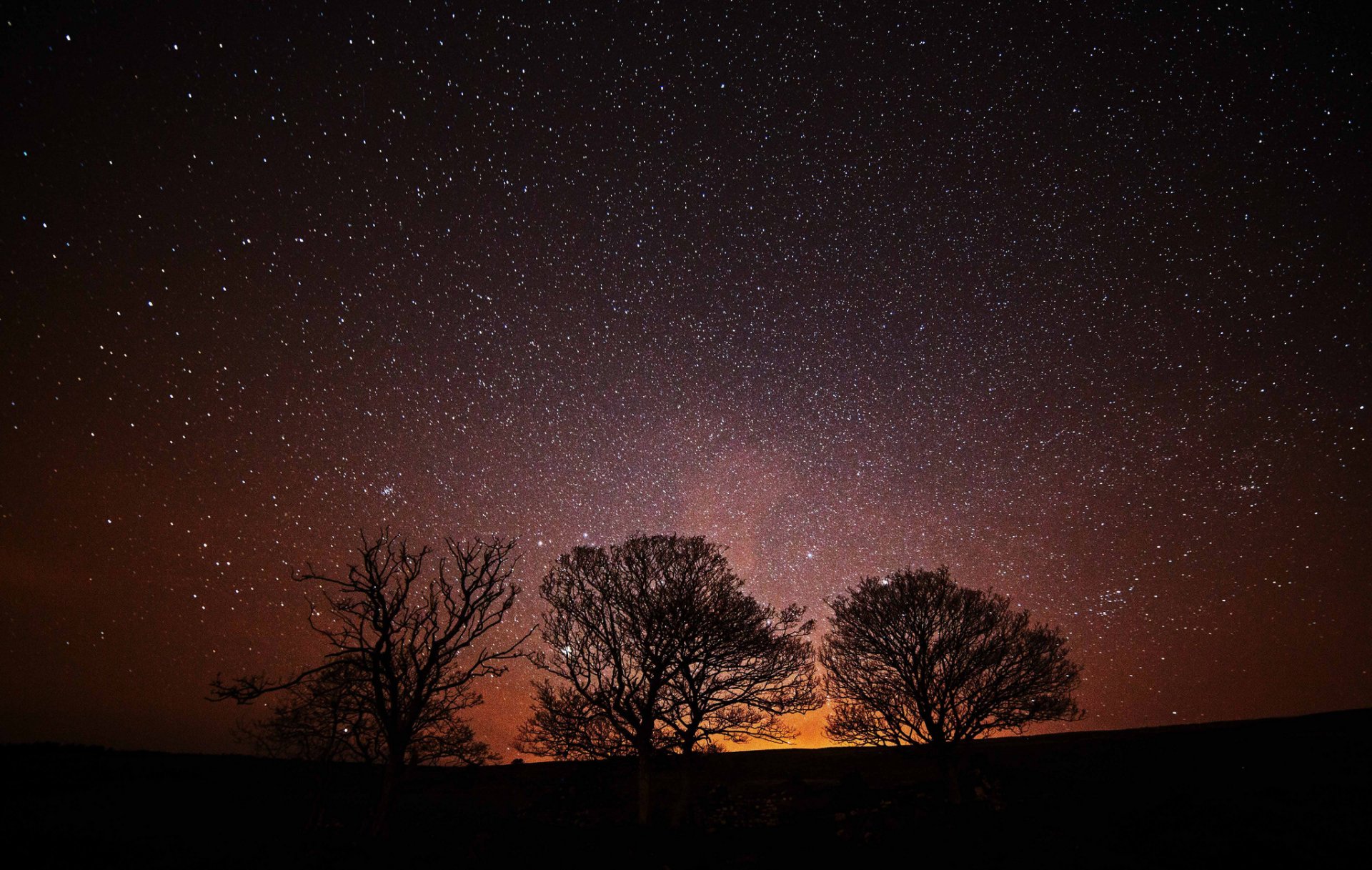 spazio stelle notte alberi silhouette