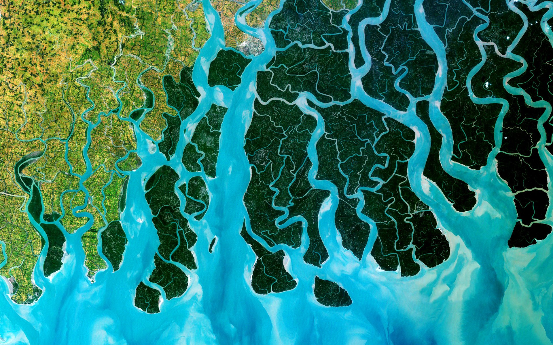 foto satélite delta del ganges india bangladesh