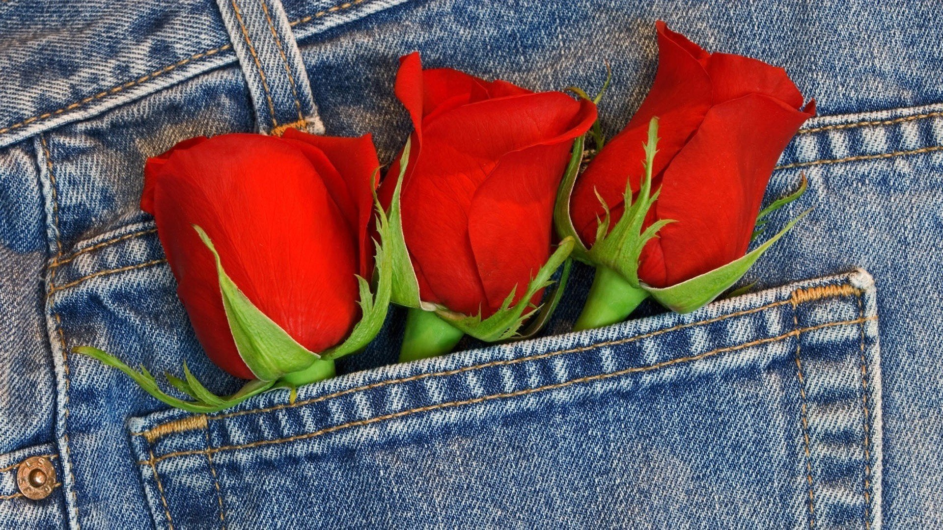 rosen blumenstrauß jeans