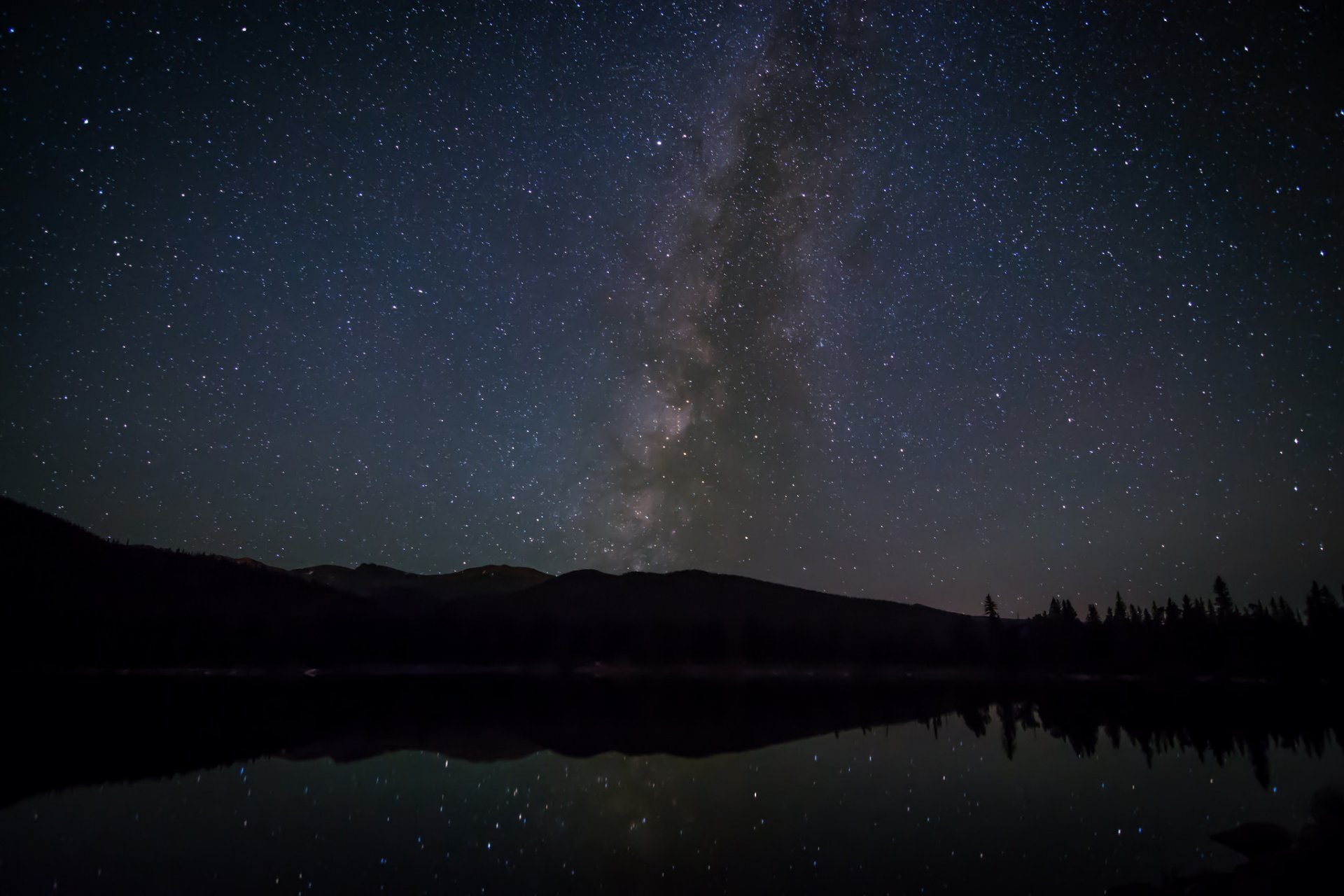 cosmos estrellas vía láctea noche árboles