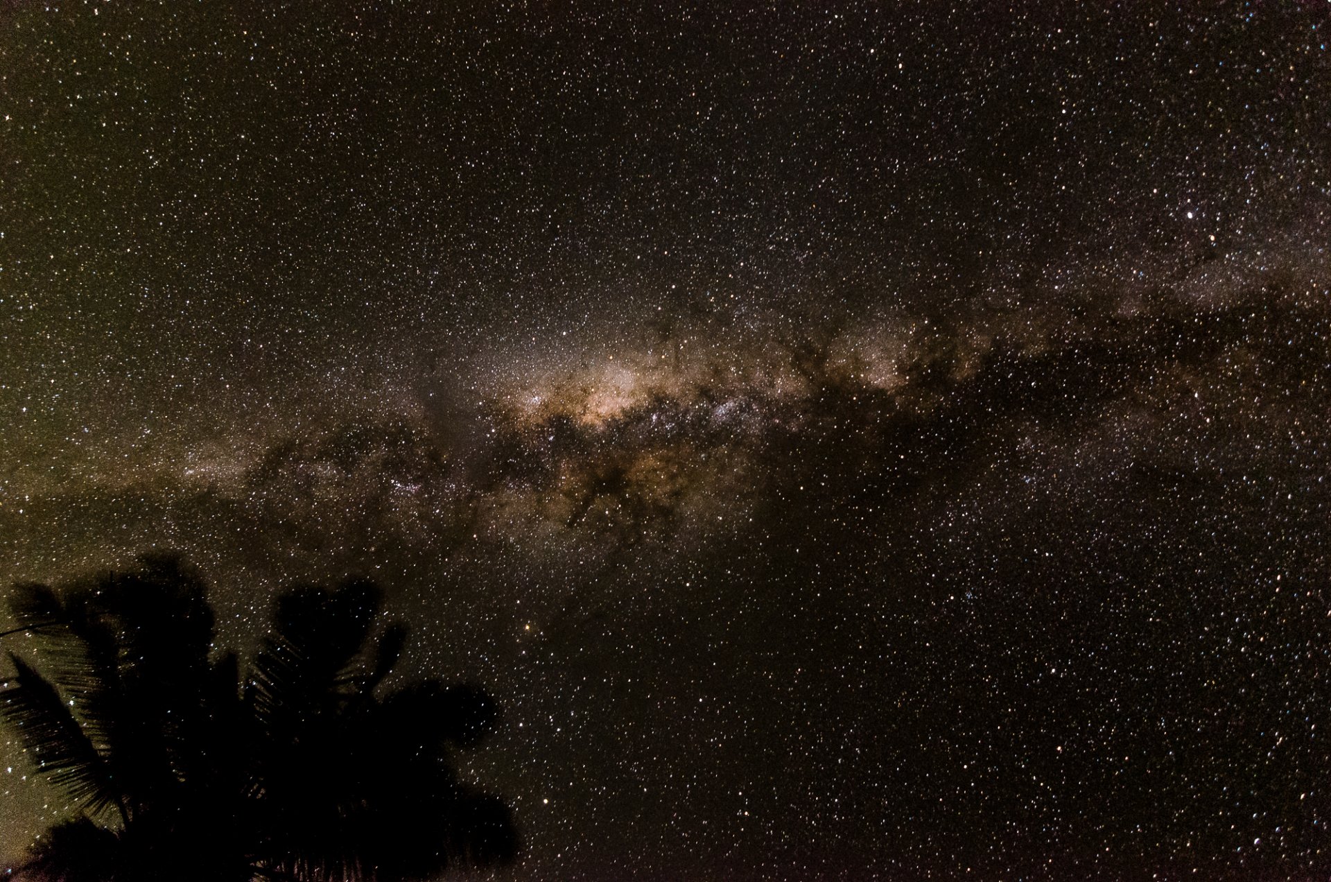 espacio estrellas noche espacio vía láctea palma silueta