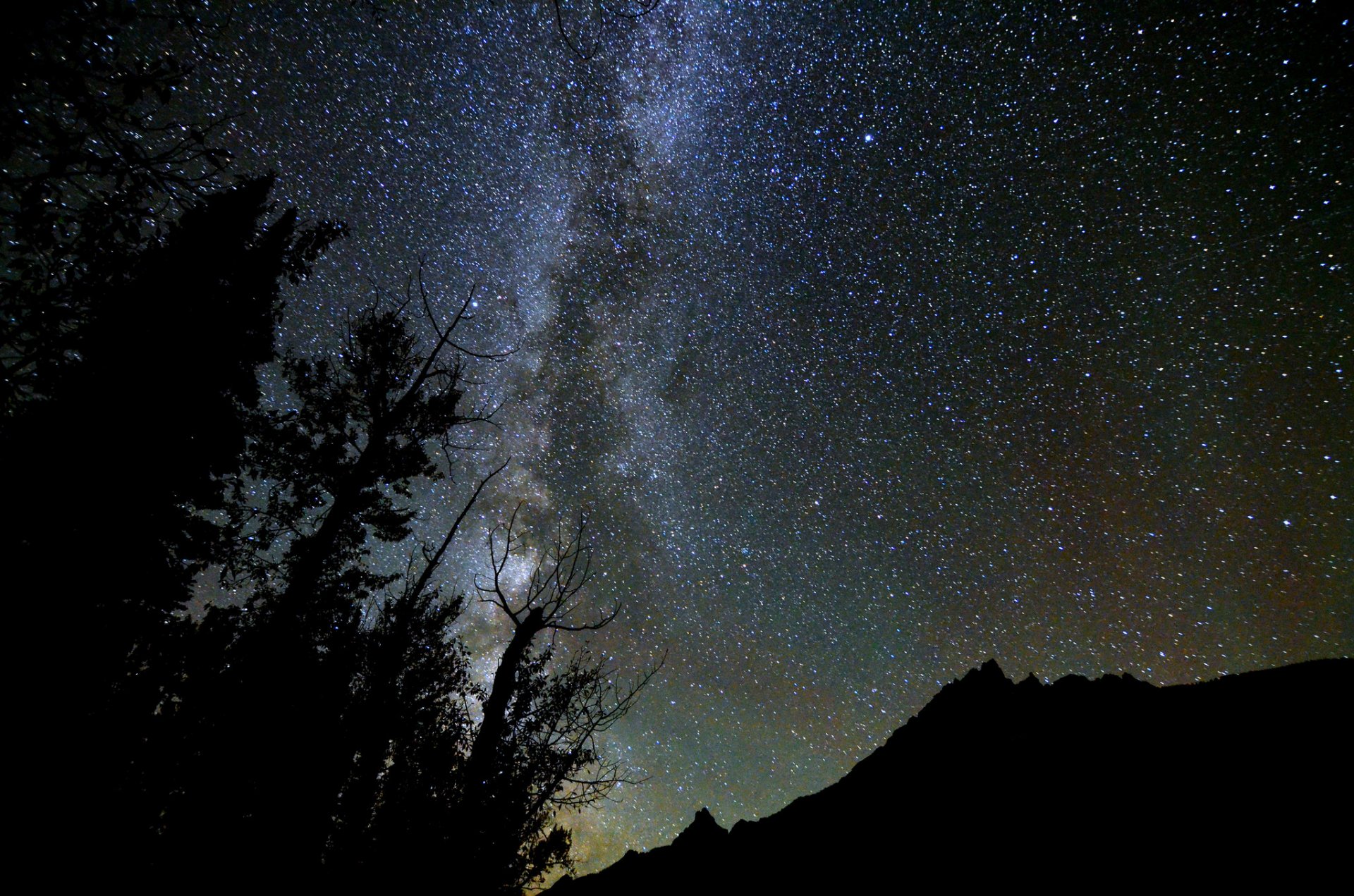 espace étoiles nuit voie lactée arbres forêt