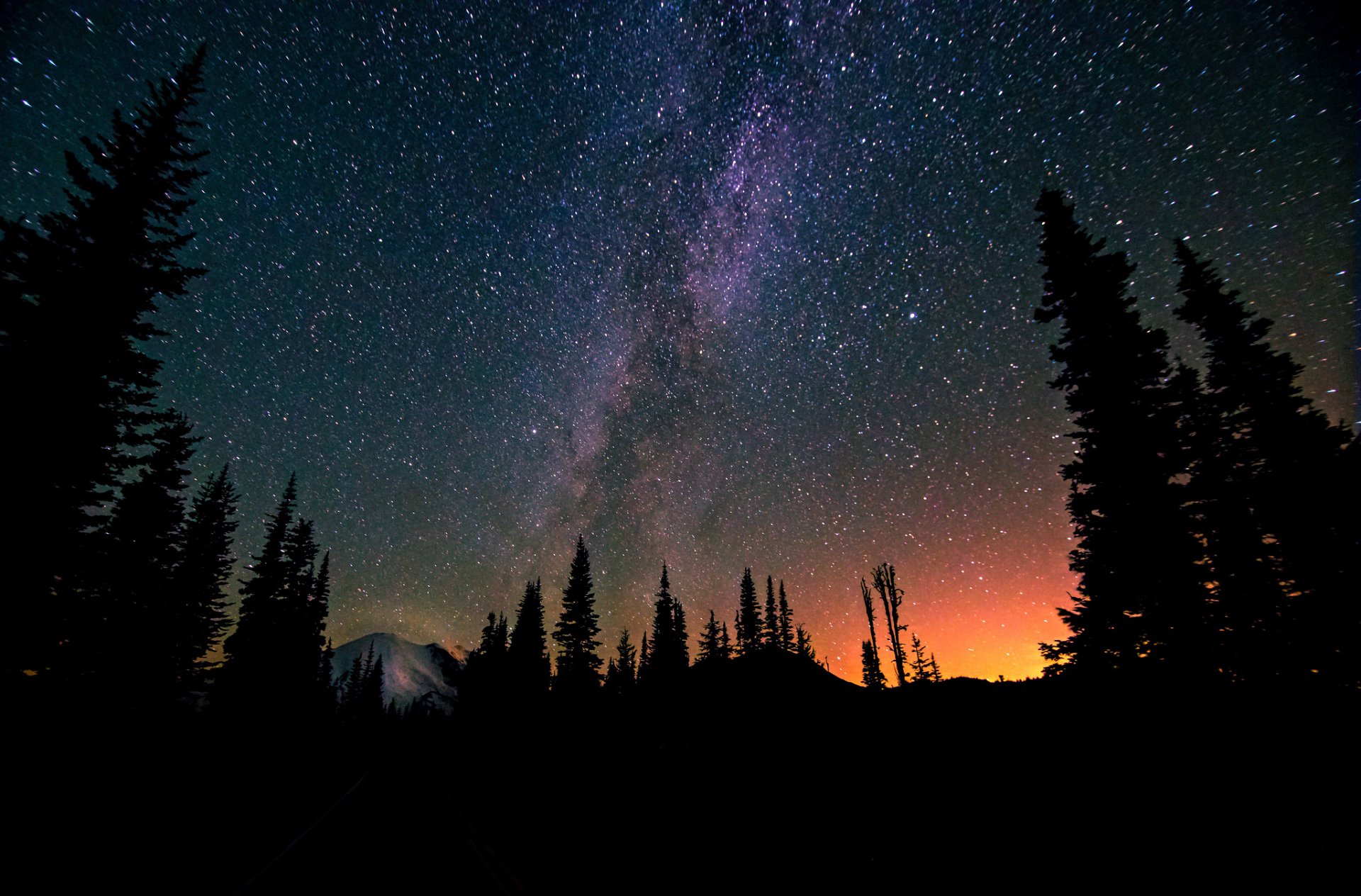 cosmos stars night space milky way trees forest