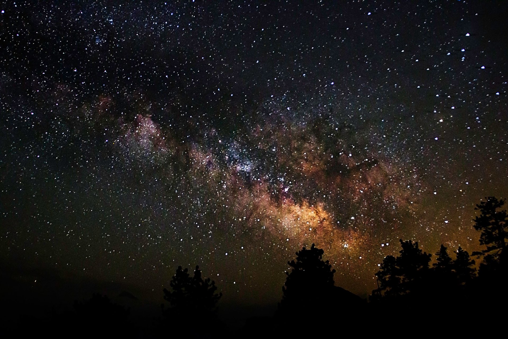 cosmos stars night space milky way trees shadow