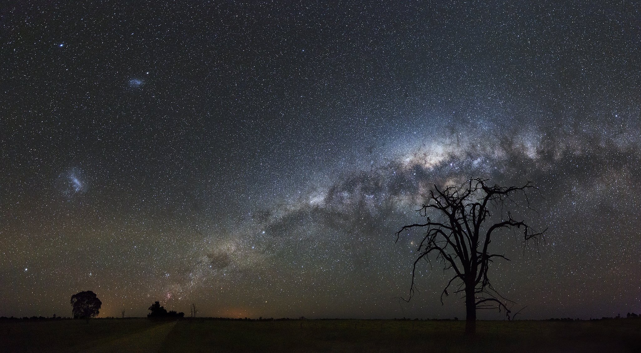 cosmos stars night space milky way trees silhouette