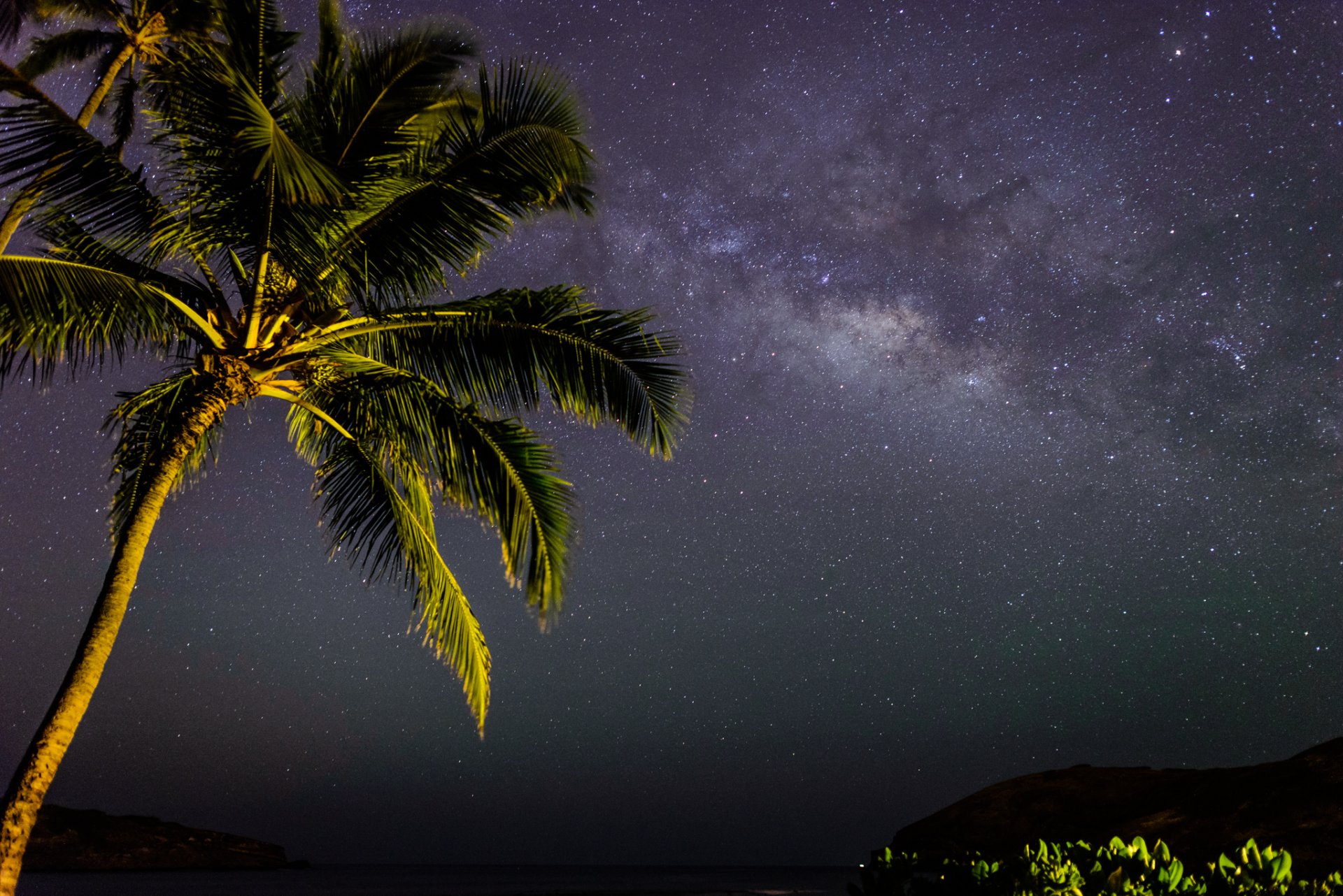 vía láctea espacio estrellas noche palma