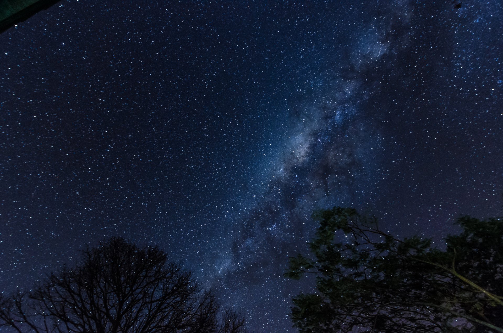 cosmos stars night space milky way trees silhouette