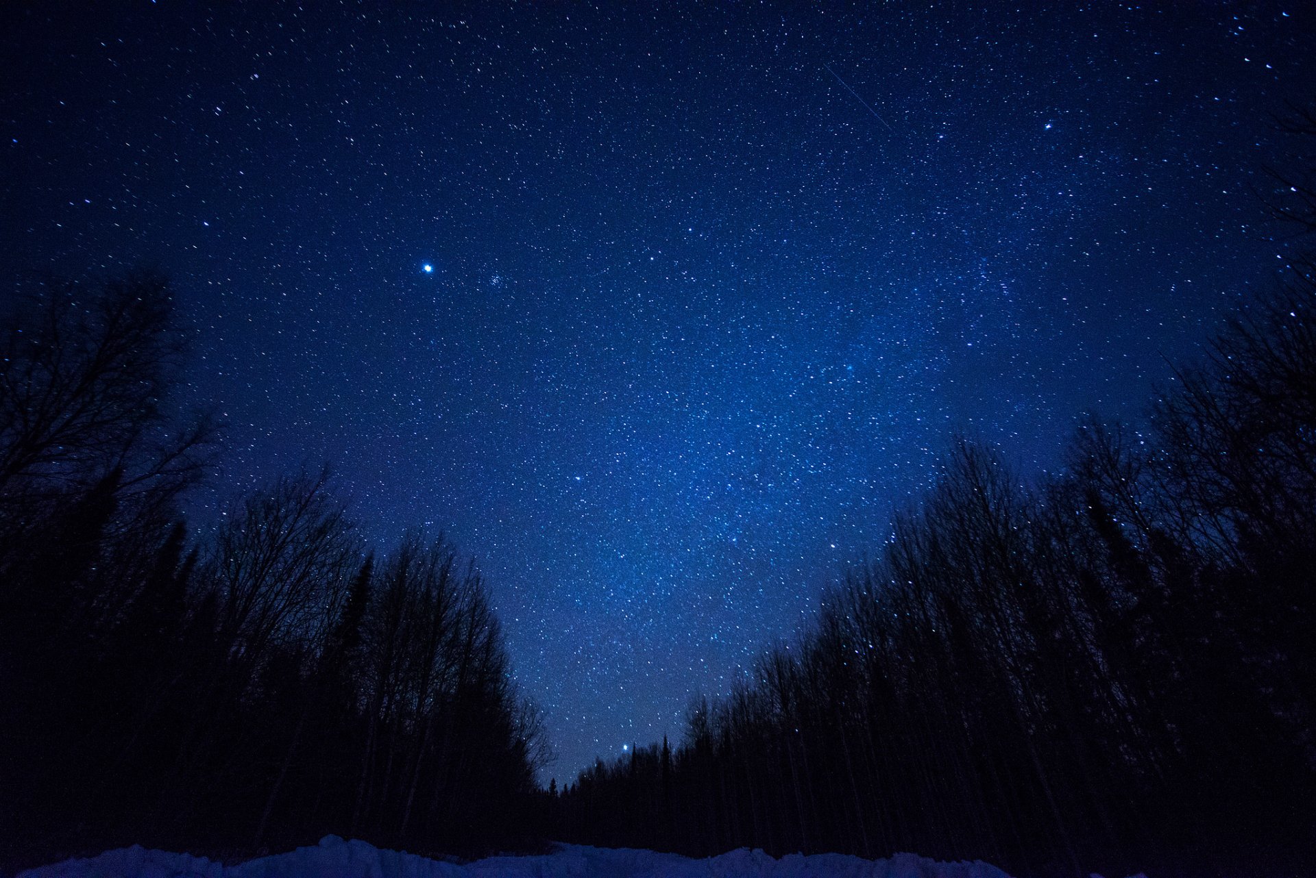 espacio estrellas noche espacio vía láctea árboles silueta