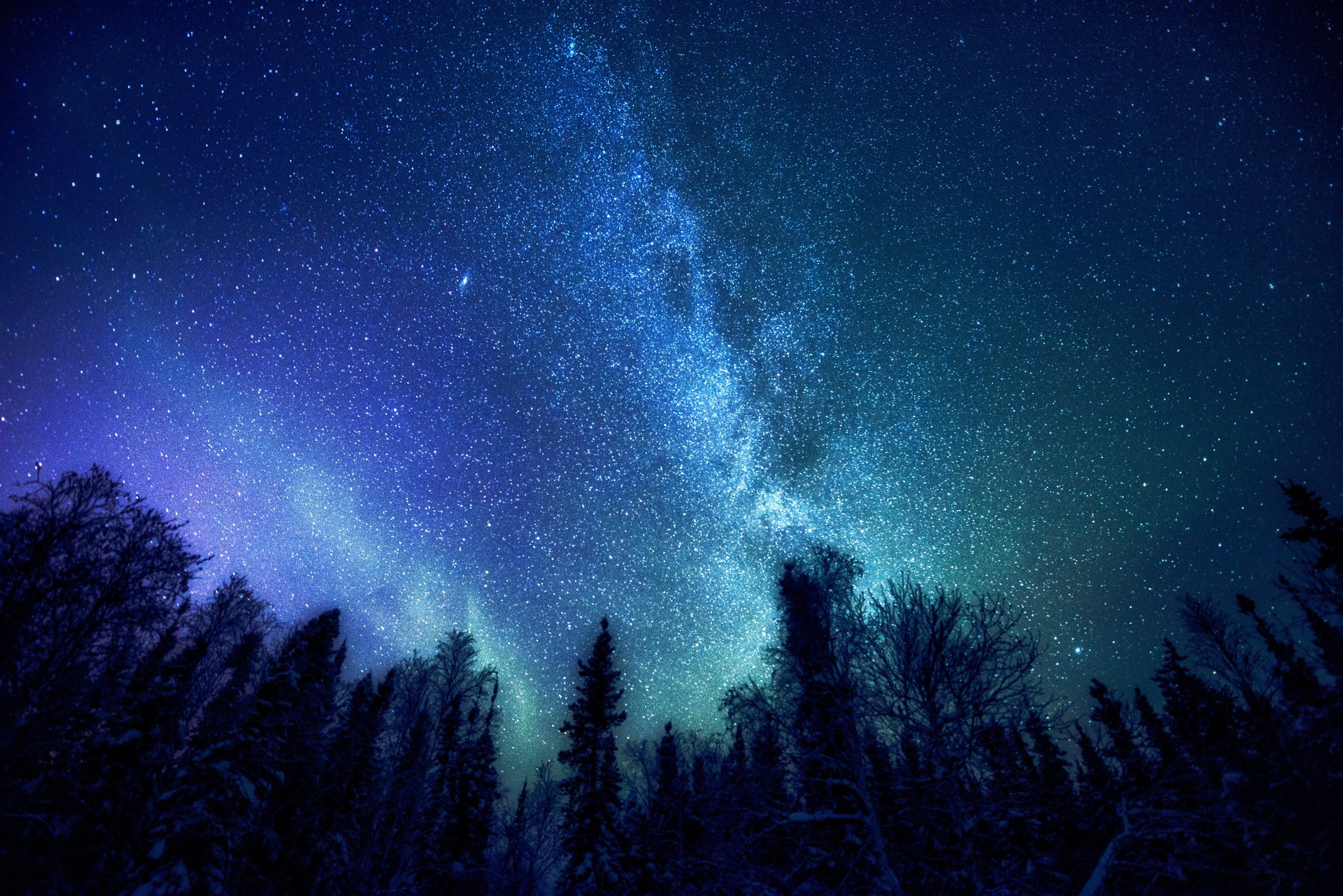 milchstraße kosmos wald bäume sterne mysterium