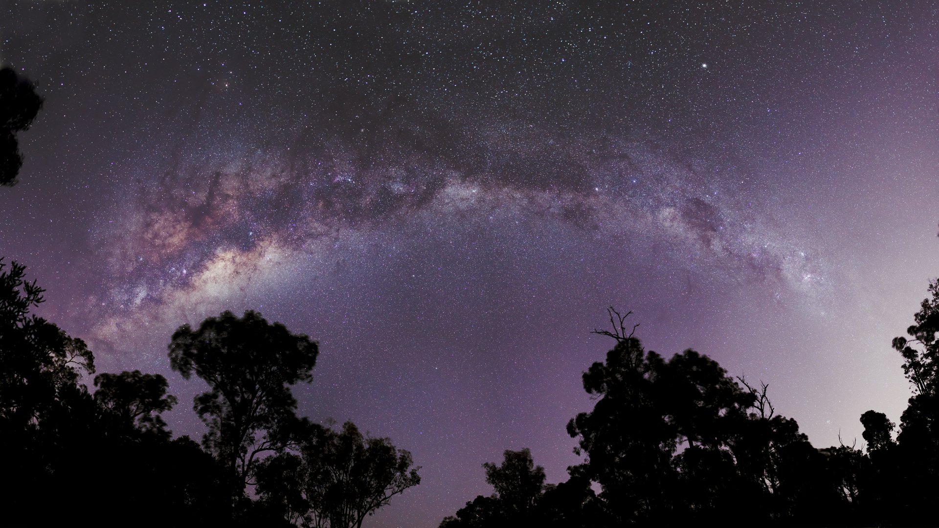 cosmos estrellas vía láctea árboles