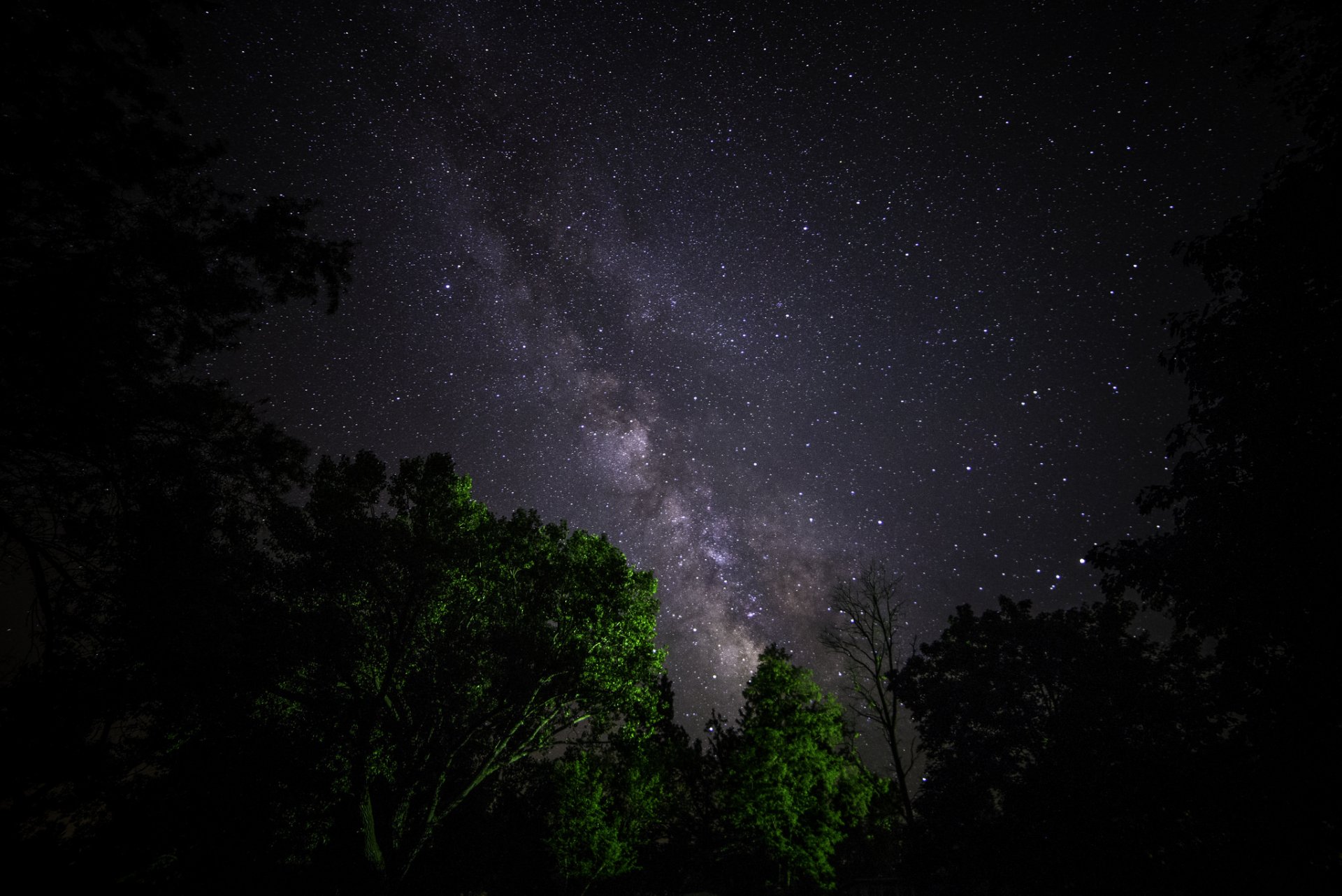 cosmos estrellas noche espacio vía láctea árboles