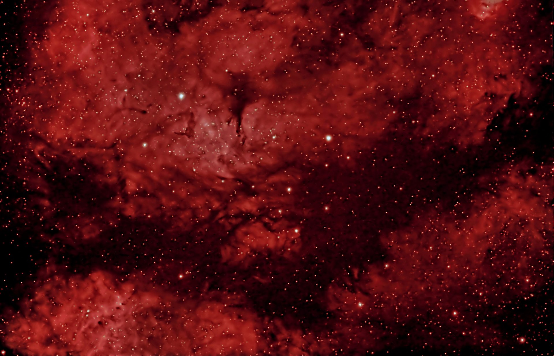 farfalla ic 1318 hargb nebulosa costellazione cosmo