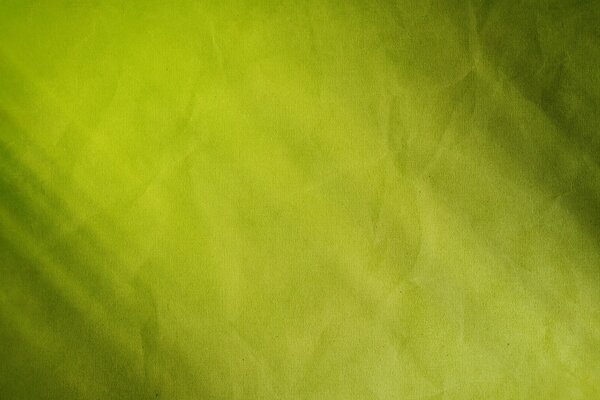 Texture de couleur verte avec éclairage