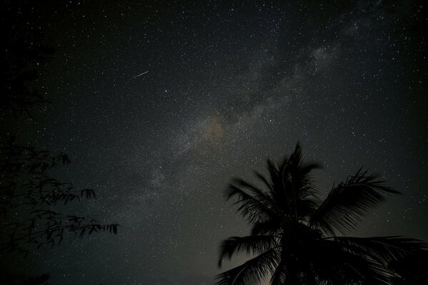 Beautiful view of the Milky Way from earth