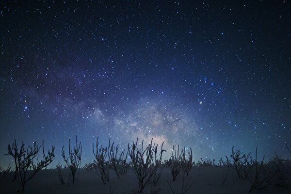 Ciel étoilé magique dans la nuit d hiver