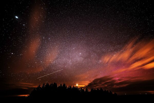 Cielo nocturno con estrellas y siluetas de árboles