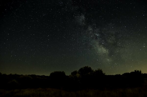 Cielo estrellado nocturno, horizonte oscuro