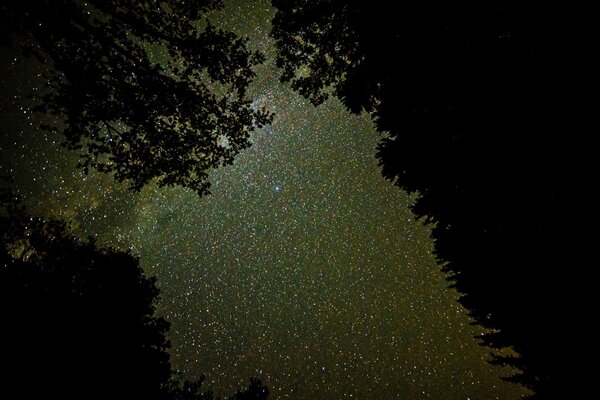 Nocne gwiaździste niebo przy dobrej pogodzie