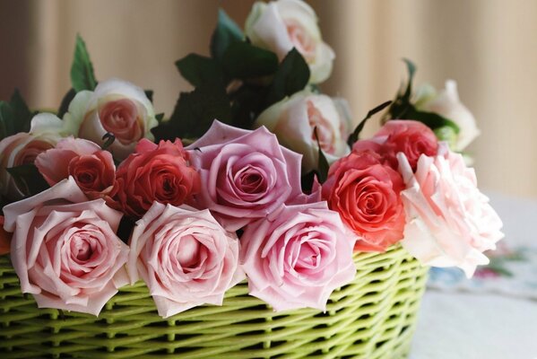 Roses roses comme symbole de tendresse et de romance